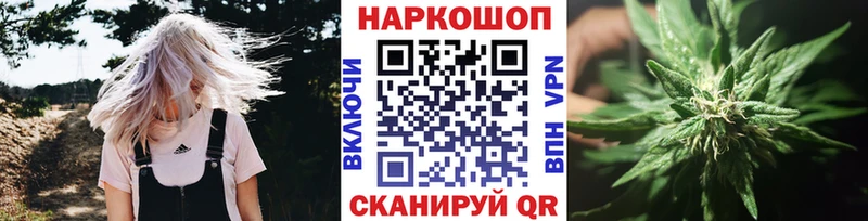Купить закладку Волхов Каннабис А ПВП мега ССЫЛКА Кокаин ГАШ