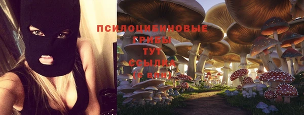 герыч Верхний Тагил