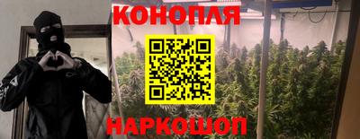 каннабис Малгобек