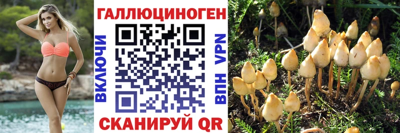 Галлюциногенные грибы ЛСД  как найти наркотики  МЕГА как войти  Волхов 