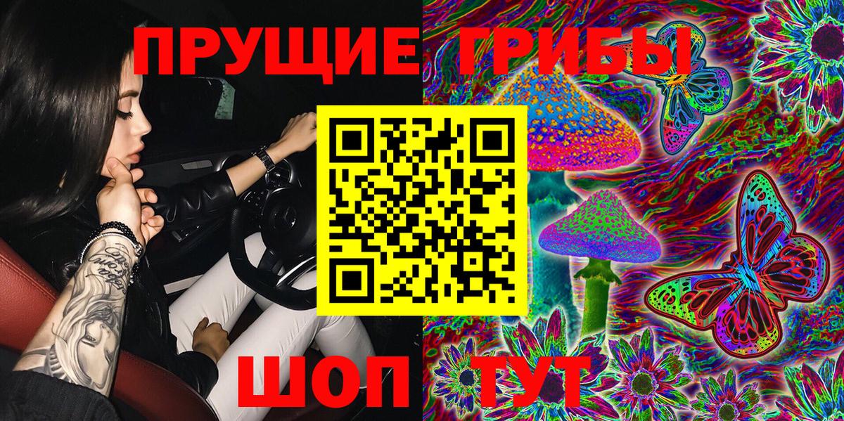 Галлюциногенные грибы прущие грибы  что такое наркотик  Волхов  Вход с VPN  Галлюциногенные грибы Psilocybe 